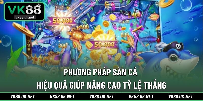 Phương pháp săn cá hiệu quả giúp nâng cao tỷ lệ thắng