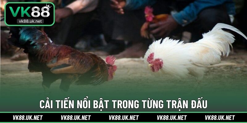 Cải tiến nổi bật trong từng trận đấu