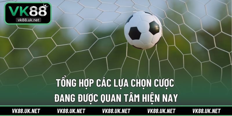 Tổng hợp các lựa chọn cược đang được quan tâm hiện nay