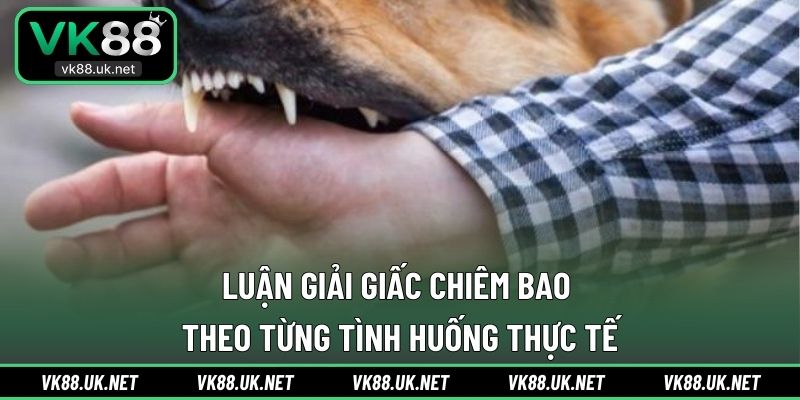 Luận giải giấc chiêm bao theo từng tình huống thực tế