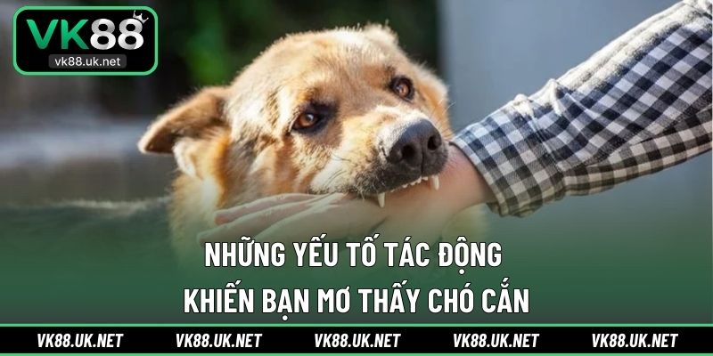 Những yếu tố tác động khiến bạn mơ thấy chó cắn