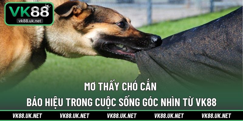 Mơ thấy chó cắn