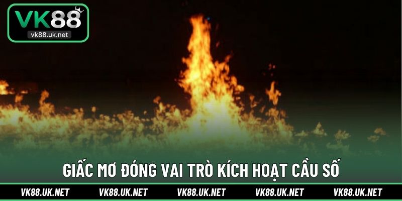 Giấc mơ đóng vai trò kích hoạt cầu số